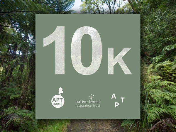 APT Tiaki Milestone - 10,000 Native Trees Planted and Protected
